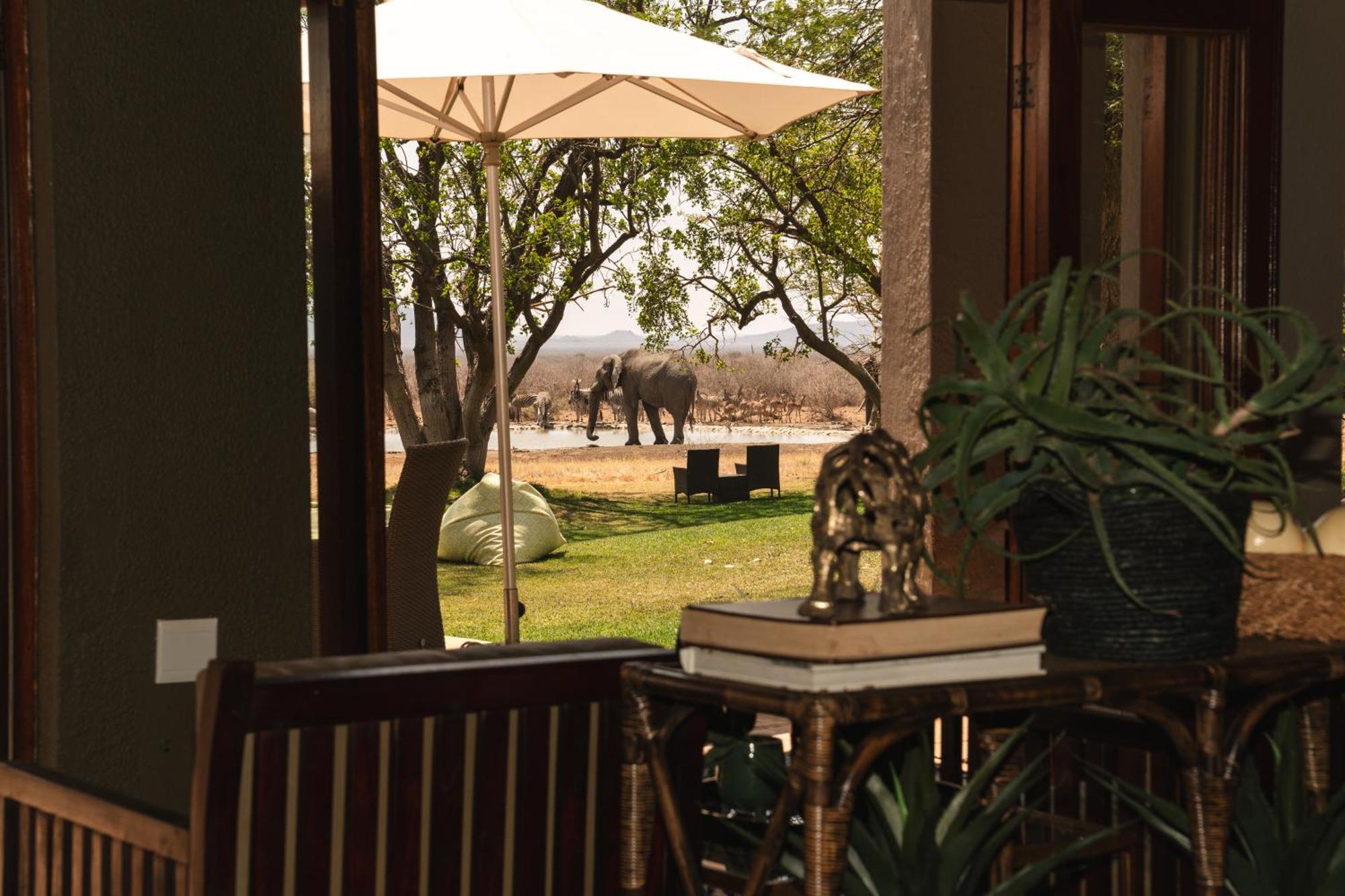 Last Word Madikwe Madikwe Game Reserve Ngoại thất bức ảnh