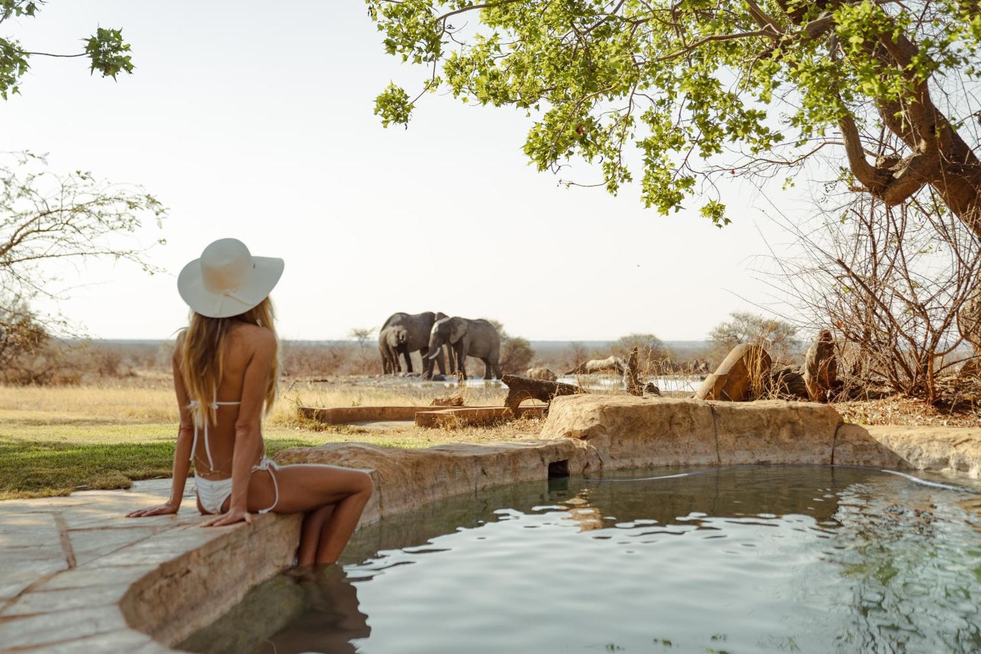 Last Word Madikwe Madikwe Game Reserve Ngoại thất bức ảnh