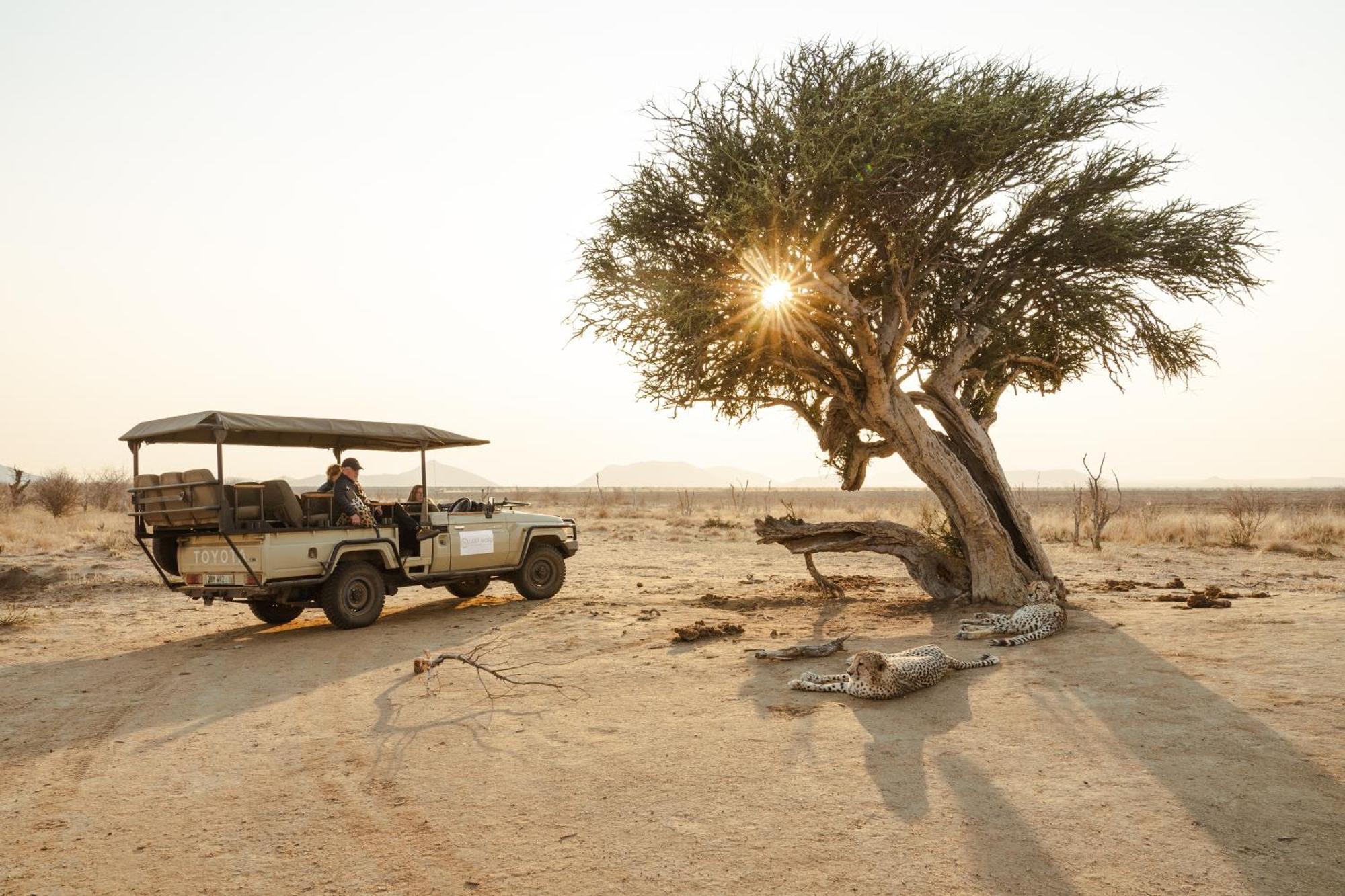 Last Word Madikwe Madikwe Game Reserve Ngoại thất bức ảnh