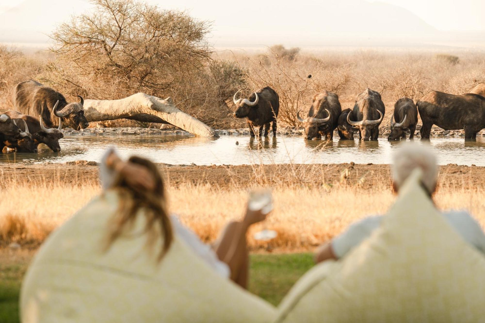 Last Word Madikwe Madikwe Game Reserve Ngoại thất bức ảnh
