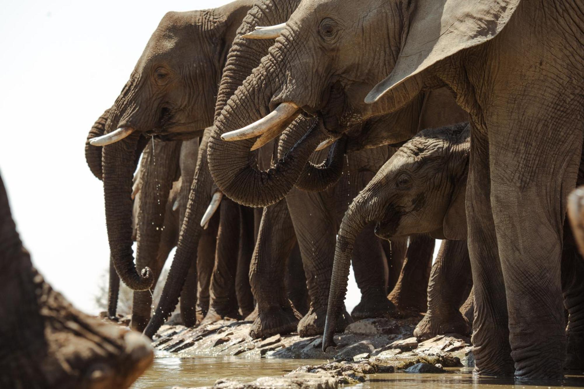 Last Word Madikwe Madikwe Game Reserve Ngoại thất bức ảnh