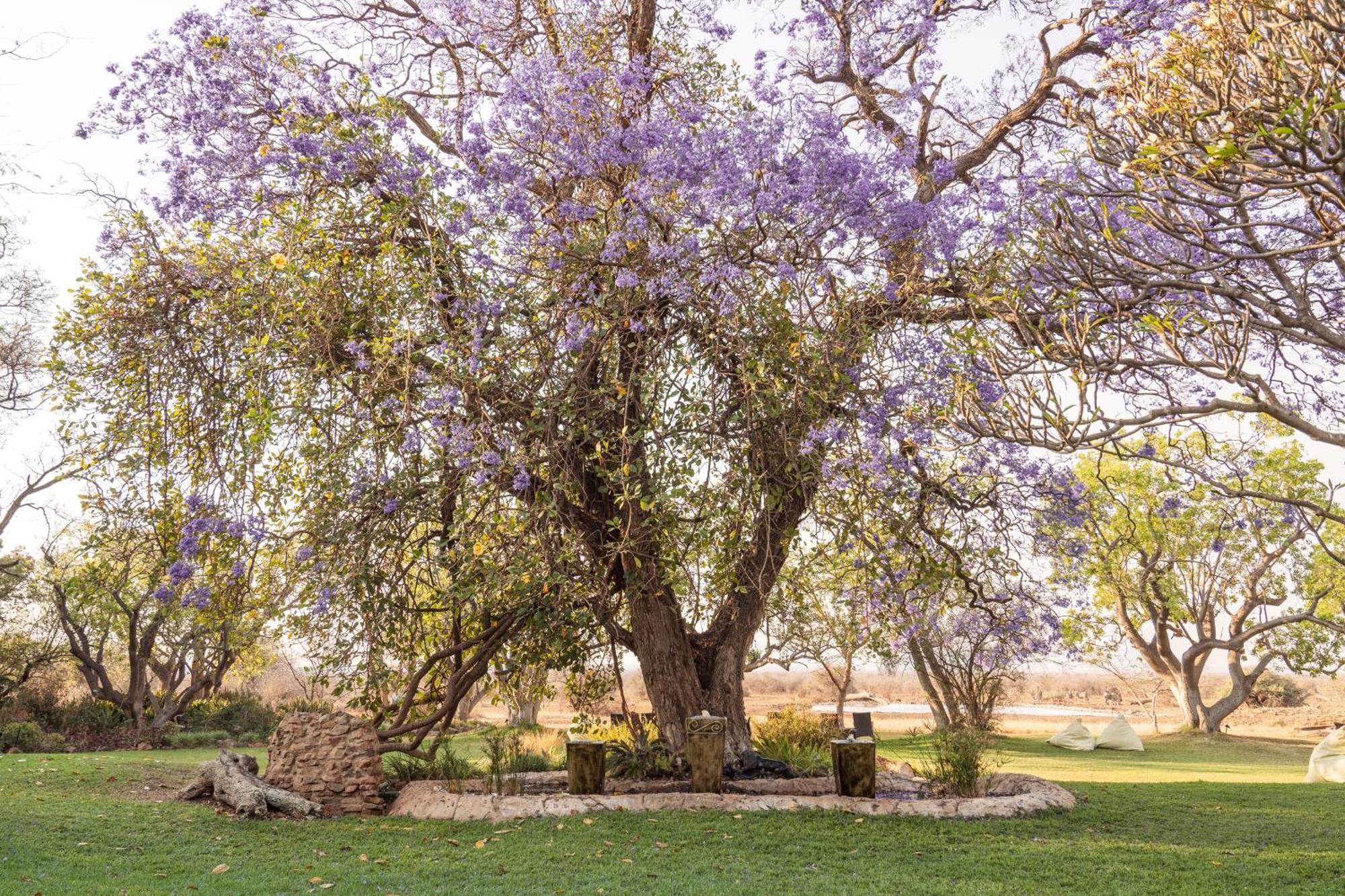 Last Word Madikwe Madikwe Game Reserve Ngoại thất bức ảnh