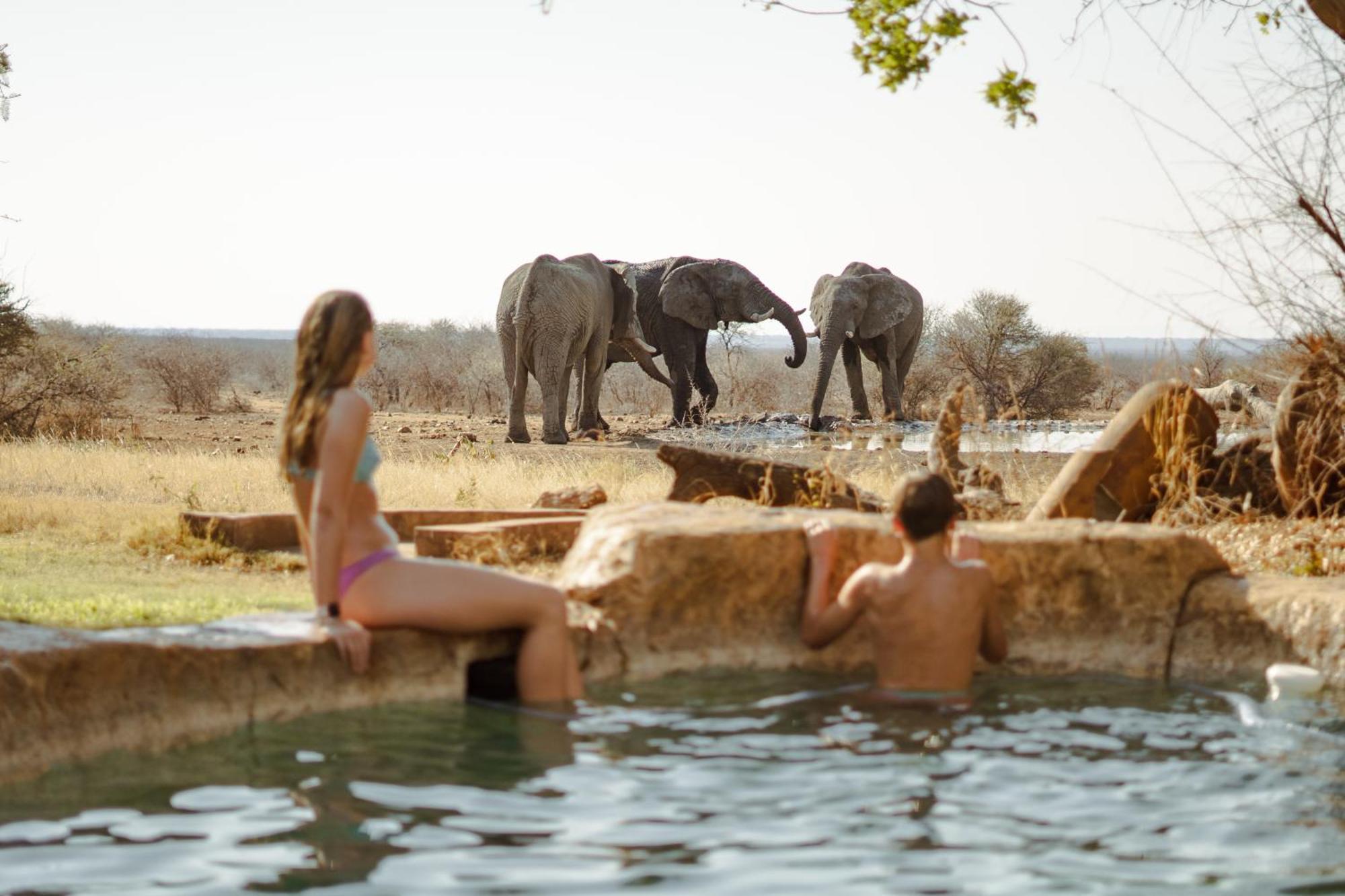 Last Word Madikwe Madikwe Game Reserve Ngoại thất bức ảnh