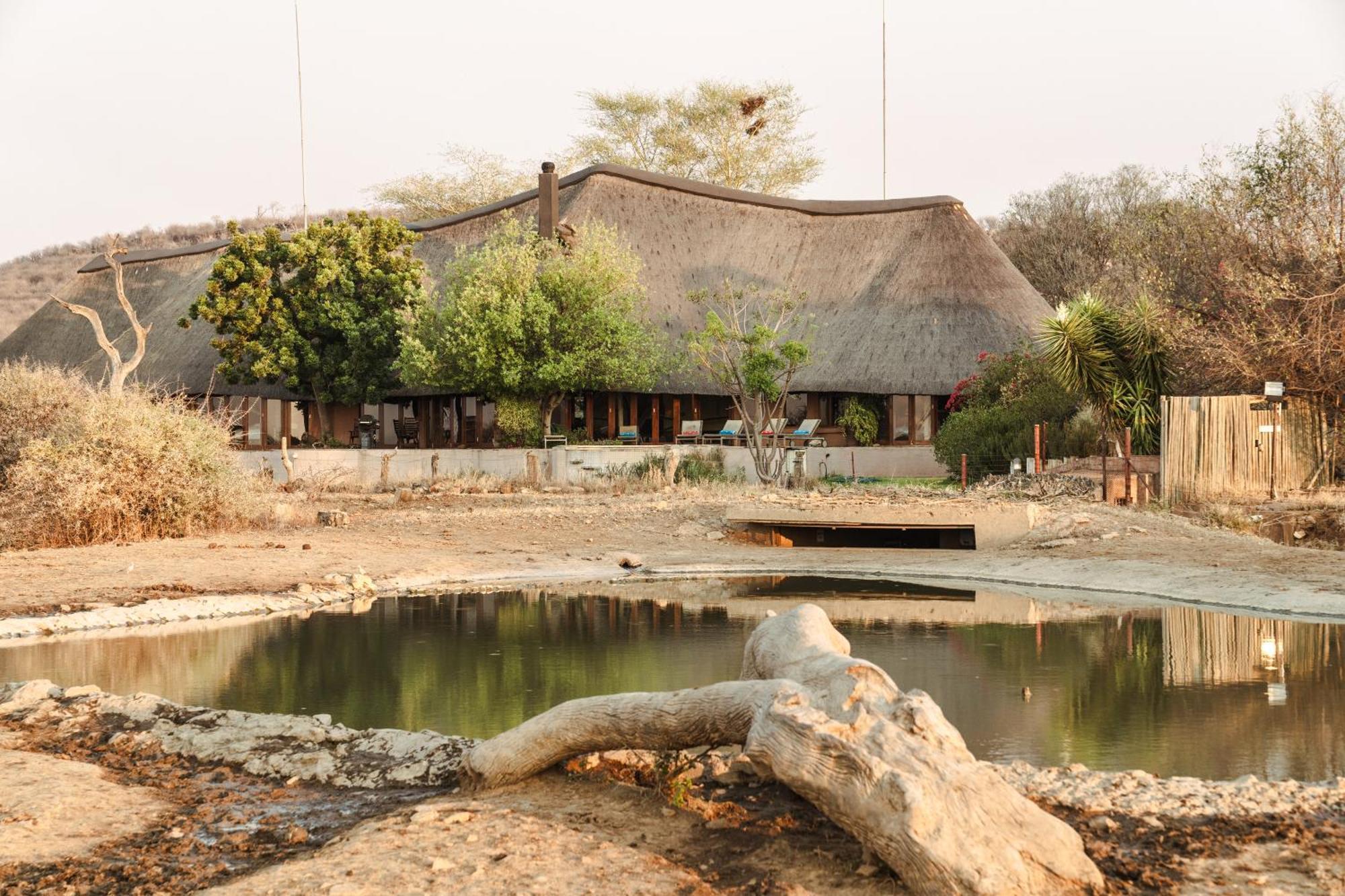Last Word Madikwe Madikwe Game Reserve Ngoại thất bức ảnh